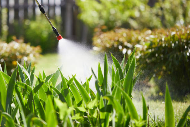 Tamper-Resistant Bait Stations for Rodents in Royalton
