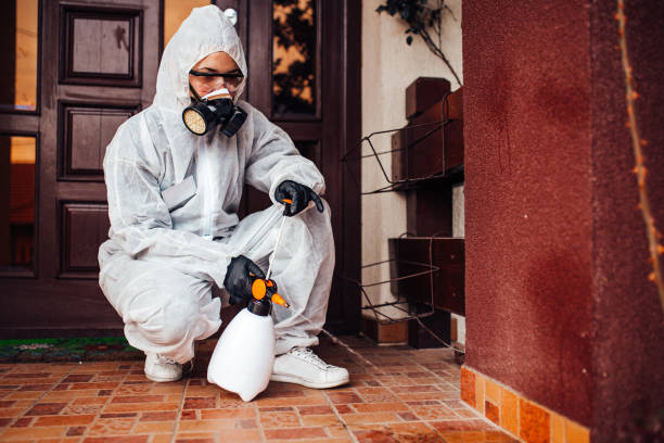 Attic and Crawl Space Rodent Treatment in Royalton