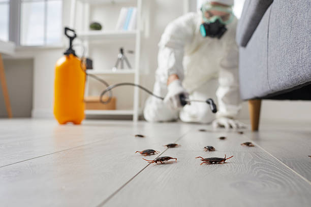 Commercial Rodent Management in Royalton